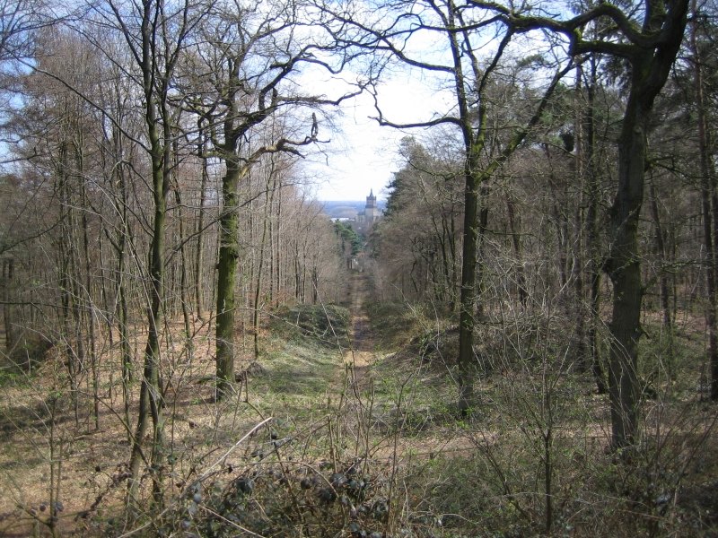 A sightline from Sternberg towards Schwanenburg.