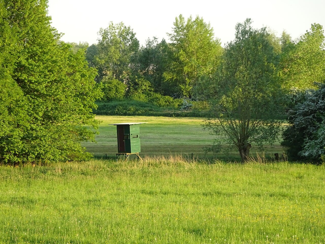 Landscape in Emmericher Ward.