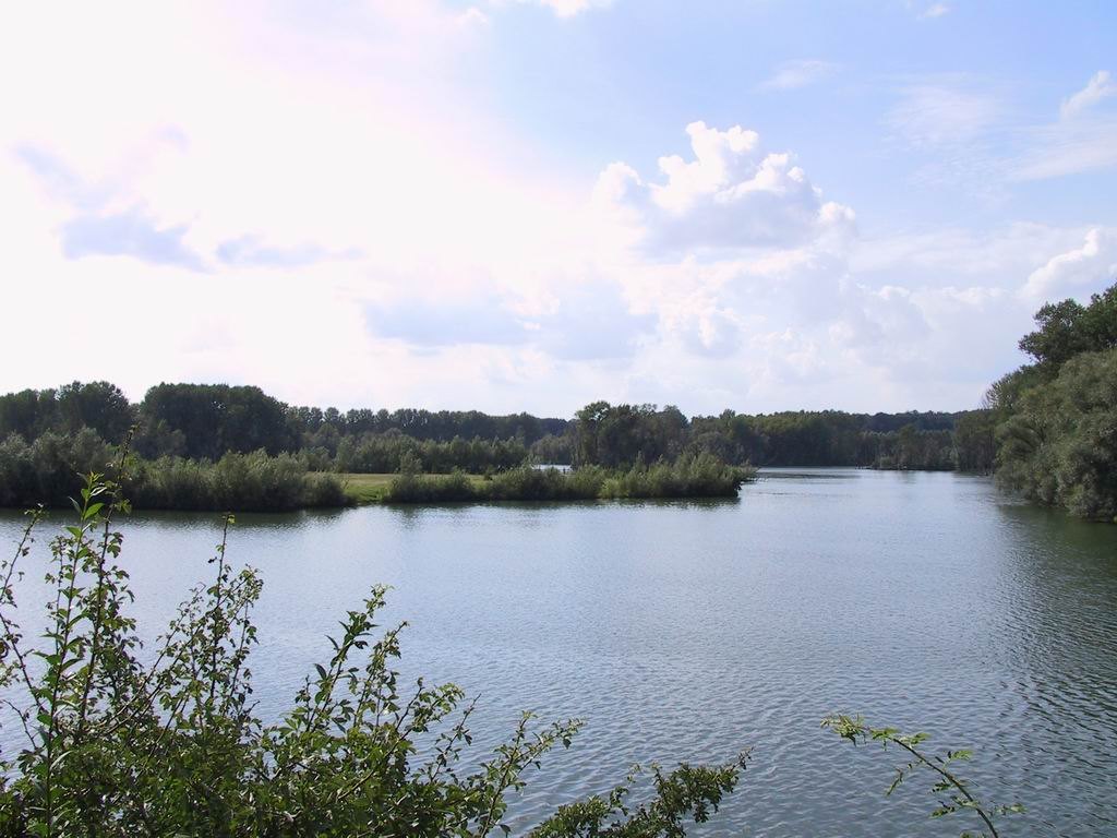 Water and floodplain landscape at Bislicher Insel.