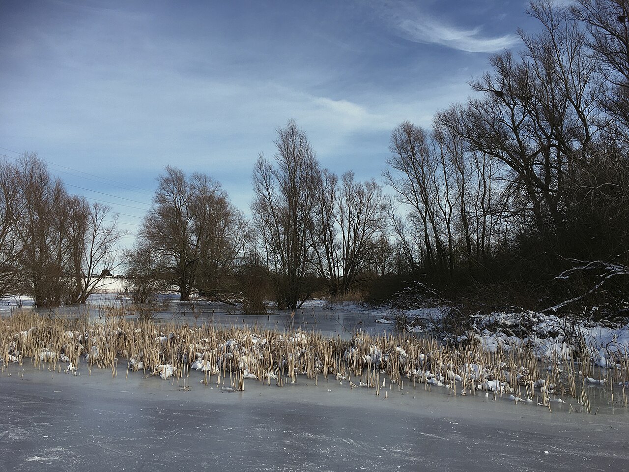 A winter river landscape in Bemmelse Waard, Gelderse Poort.