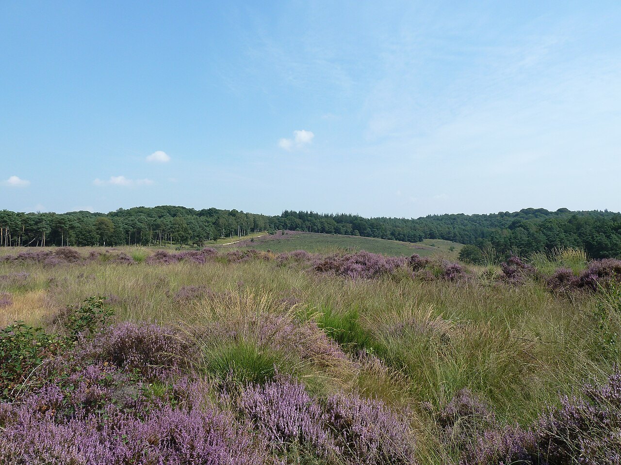 Heumense Schans near Mook.