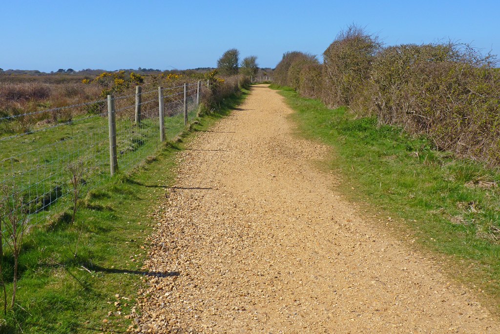 A gravel cycle path illustrating an unsealed surface.