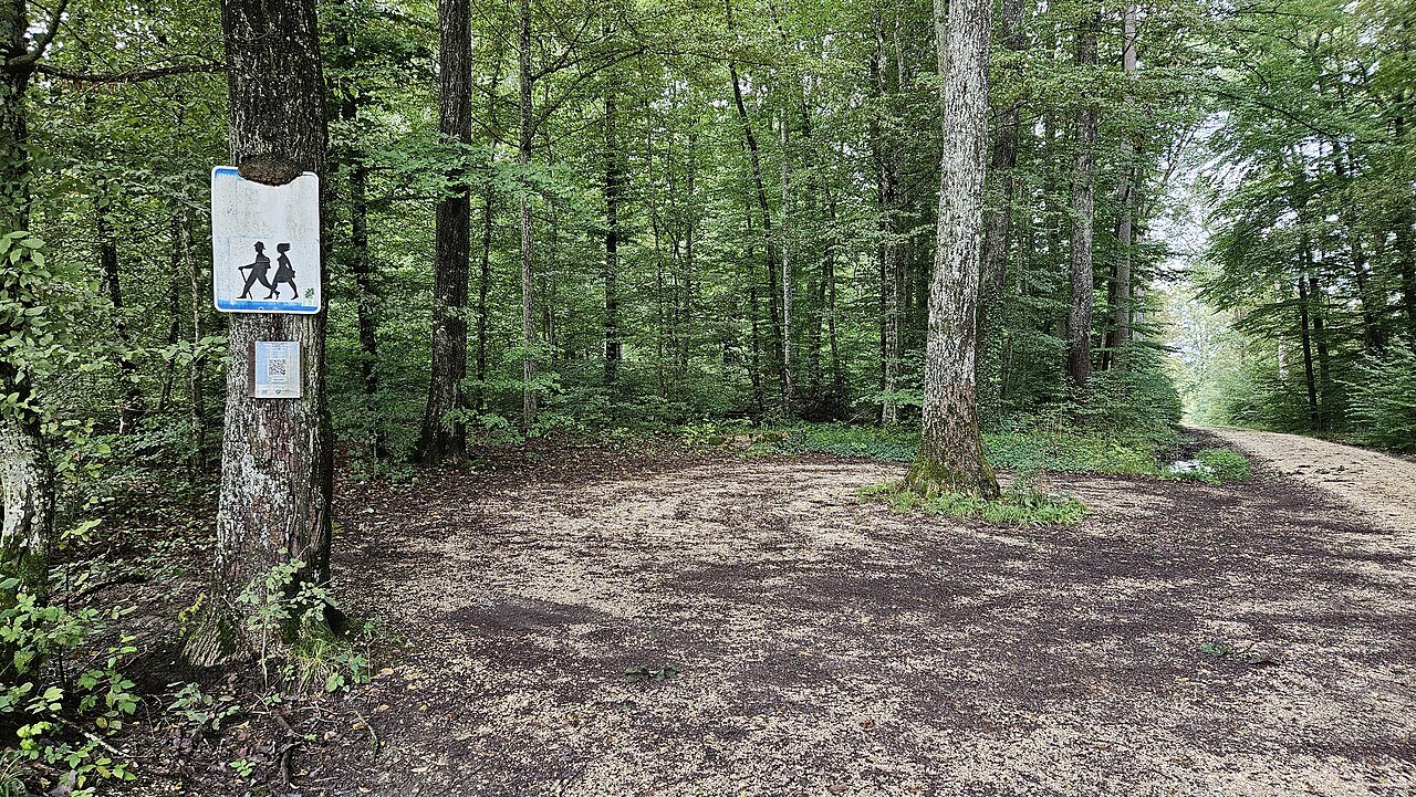 A woodland car park near Unterliezheim, illustrating a starting point.